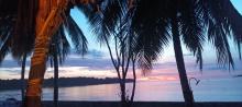 La vue depuis le surfcamp