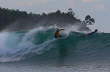 Mentawai vague Ebay Mentawai vague Ebay
