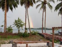 Arc en ciel tropical Arc en ciel tropical