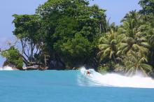 Le surf parfait de burger world Le surf parfait de burger world