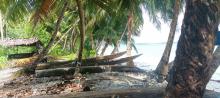Bateau traditionnel mentawai Bateau traditionnel mentawai