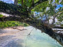 Mentawai et ses plages Mentawai et ses plages