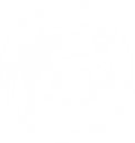 Logo Mentawai Surf Camp