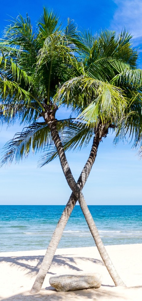 Meilleur surf camp des mentawai