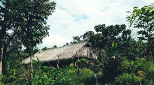 Hebergement Mentawai Surf Camp