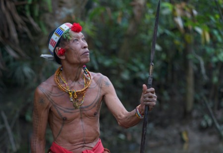 découvrez la culture mentawai avec les hommes fleur