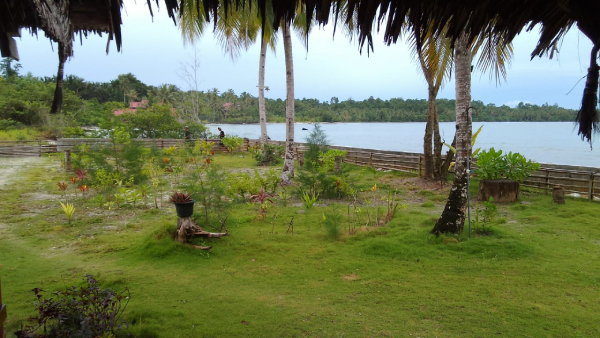 la vue depuis le jardin