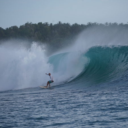 Ebay mentawai perfection