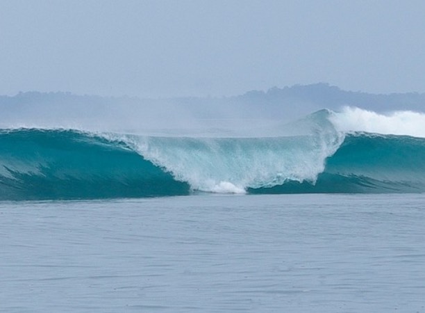 A frame vague des mentawai