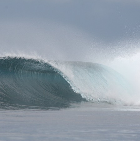 Rifles, la perfection des mentawai