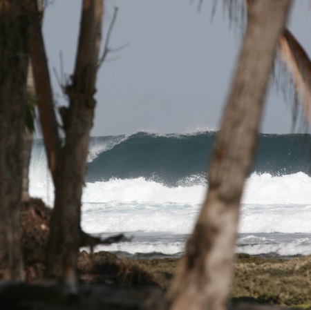 Beng beng vague des mentawai