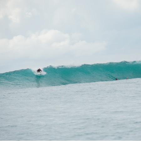 Nipussi mentawai